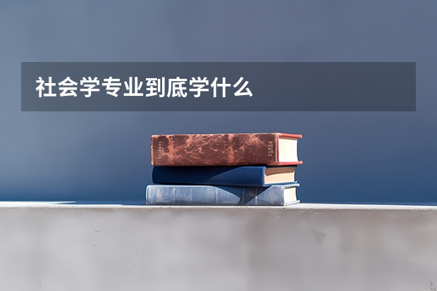 社会学专业到底学什么