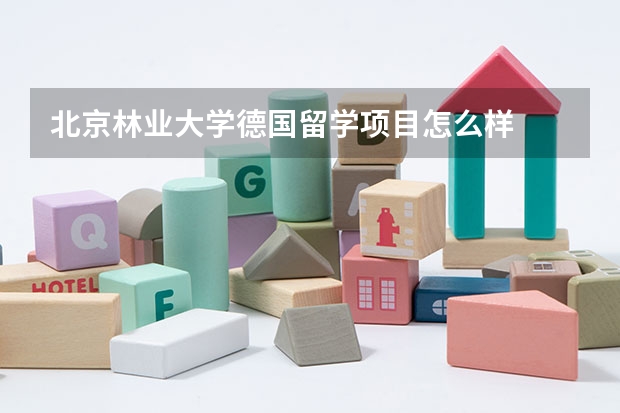 北京林业大学德国留学项目怎么样