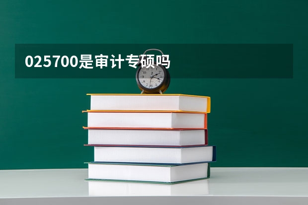 025700是审计专硕吗