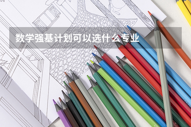 数学强基计划可以选什么专业