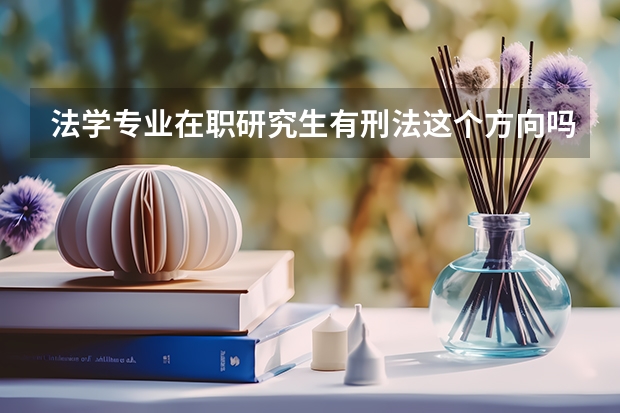 法学专业在职研究生有刑法这个方向吗
