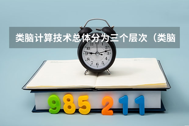 类脑计算技术总体分为三个层次（类脑计算中心）