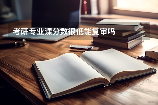 考研专业课分数很低能复审吗