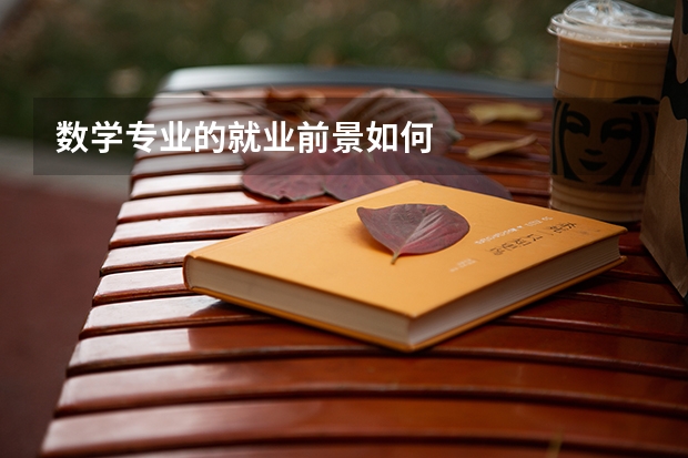 数学专业的就业前景如何