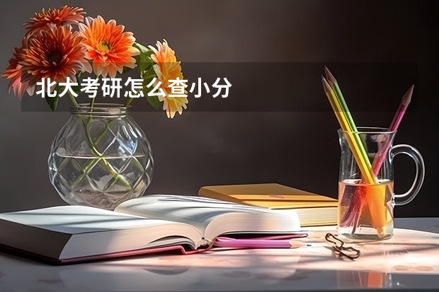 北大考研怎么查小分