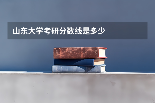 山东大学考研分数线是多少