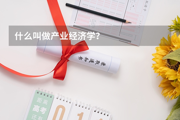 什么叫做产业经济学？