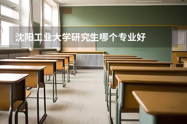 沈阳工业大学研究生哪个专业好