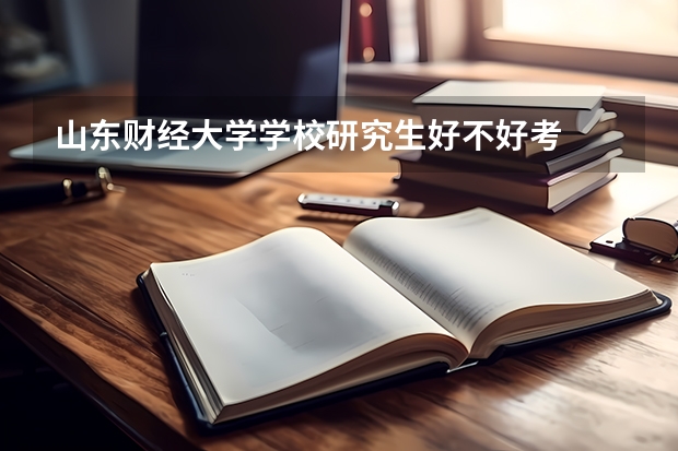 山东财经大学学校研究生好不好考