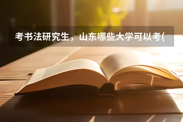 考书法研究生，山东哪些大学可以考(好点的)，专业都考什么，具体一些